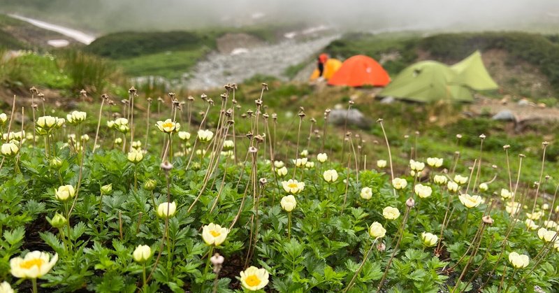 雄山登山を諦めて、室堂を満喫した。