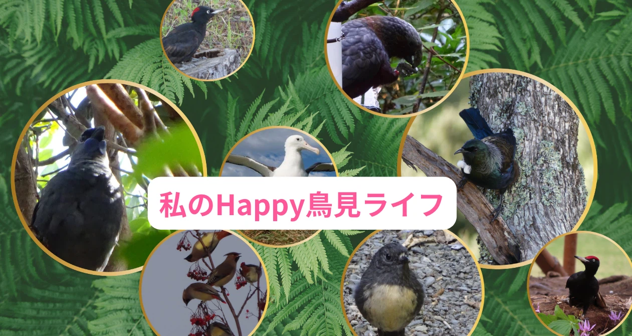 鳥見はつみょん💛w/幸せの青い鳥タカへ｜note