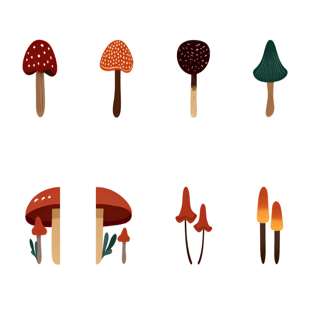 きのこ╰(*´︶`*)╯様　オーダー専用ページ きのこ╰(*´︶`*)╯様 オーダー専用ページ きのこの絵文字作りまし