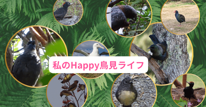 鳥を見ると幸せ💖な気持ちに👉シェアしたい👉鳥との出会いのトキメキを記事にします♬👉Happy、広がれ～♪