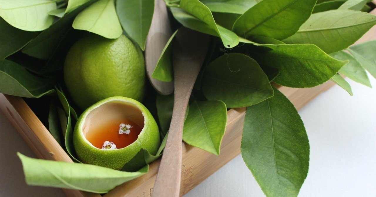 世界で最もサステナブルなレストラン、スペインの〈アスルメンディ〉を