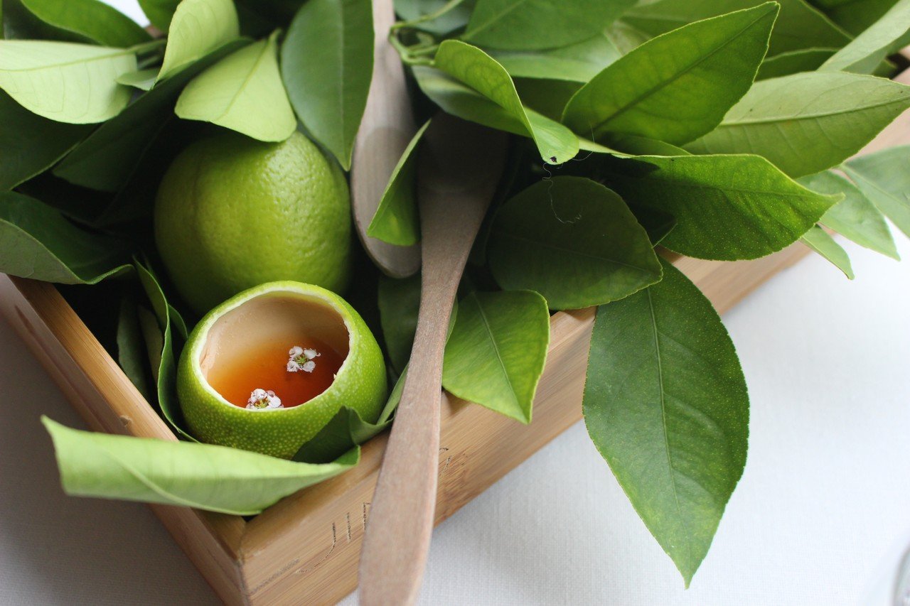 世界で最もサステナブルなレストラン、スペインの〈アスルメンディ〉を