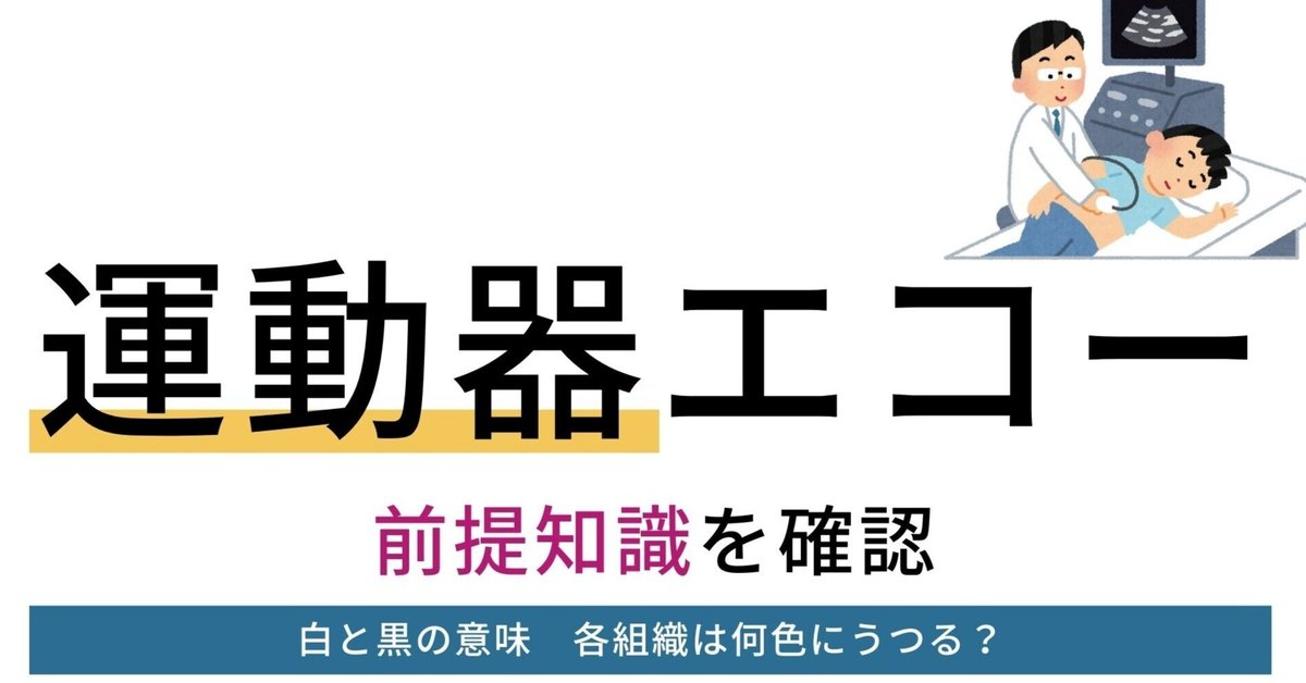 運動器エコーの初歩｜理学療法メモ