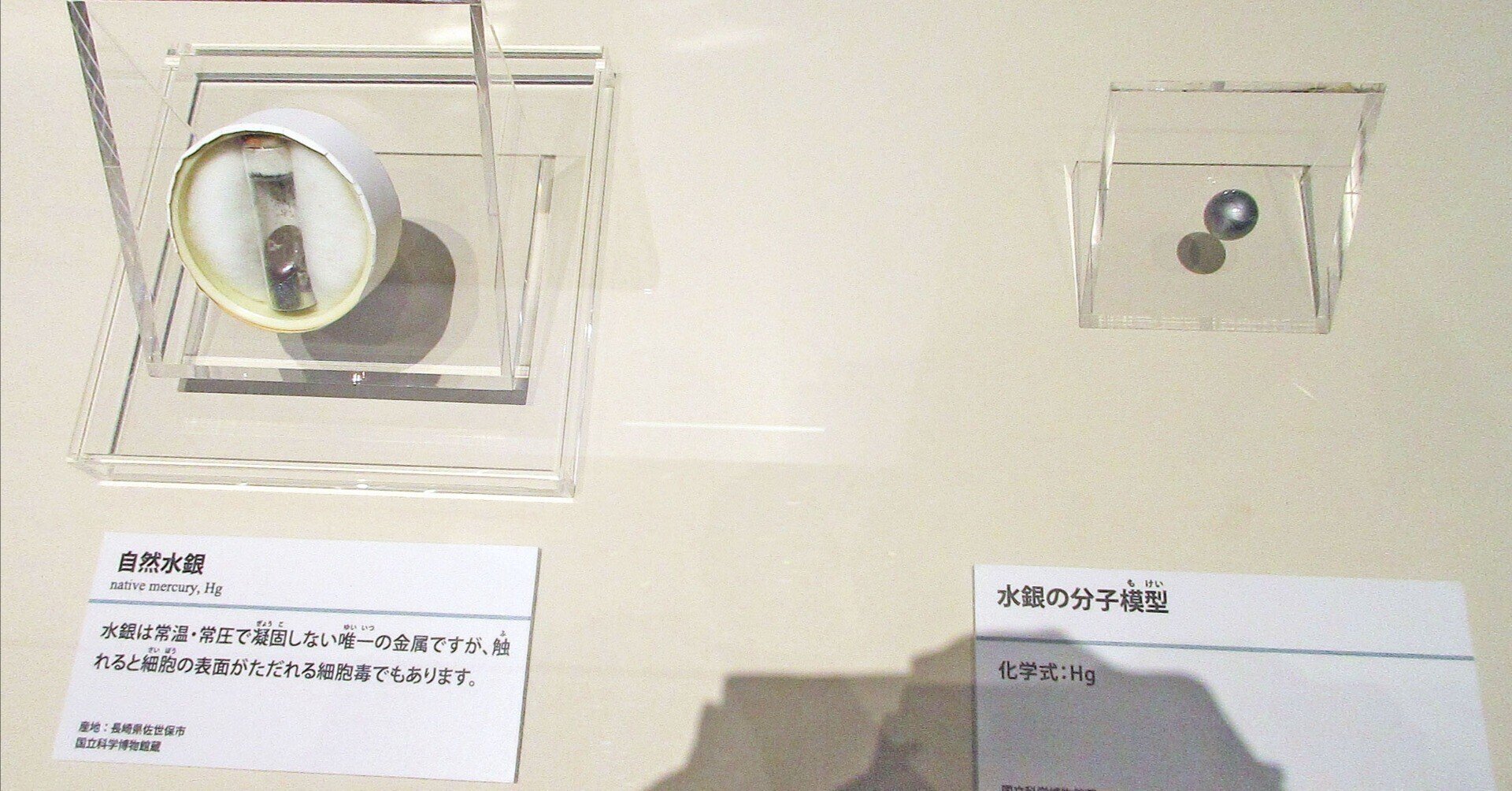 第4章 毒と人間 4-1 争いから利用へ 毒の人類史：「特別展「毒」」見聞録 その23｜たけっち