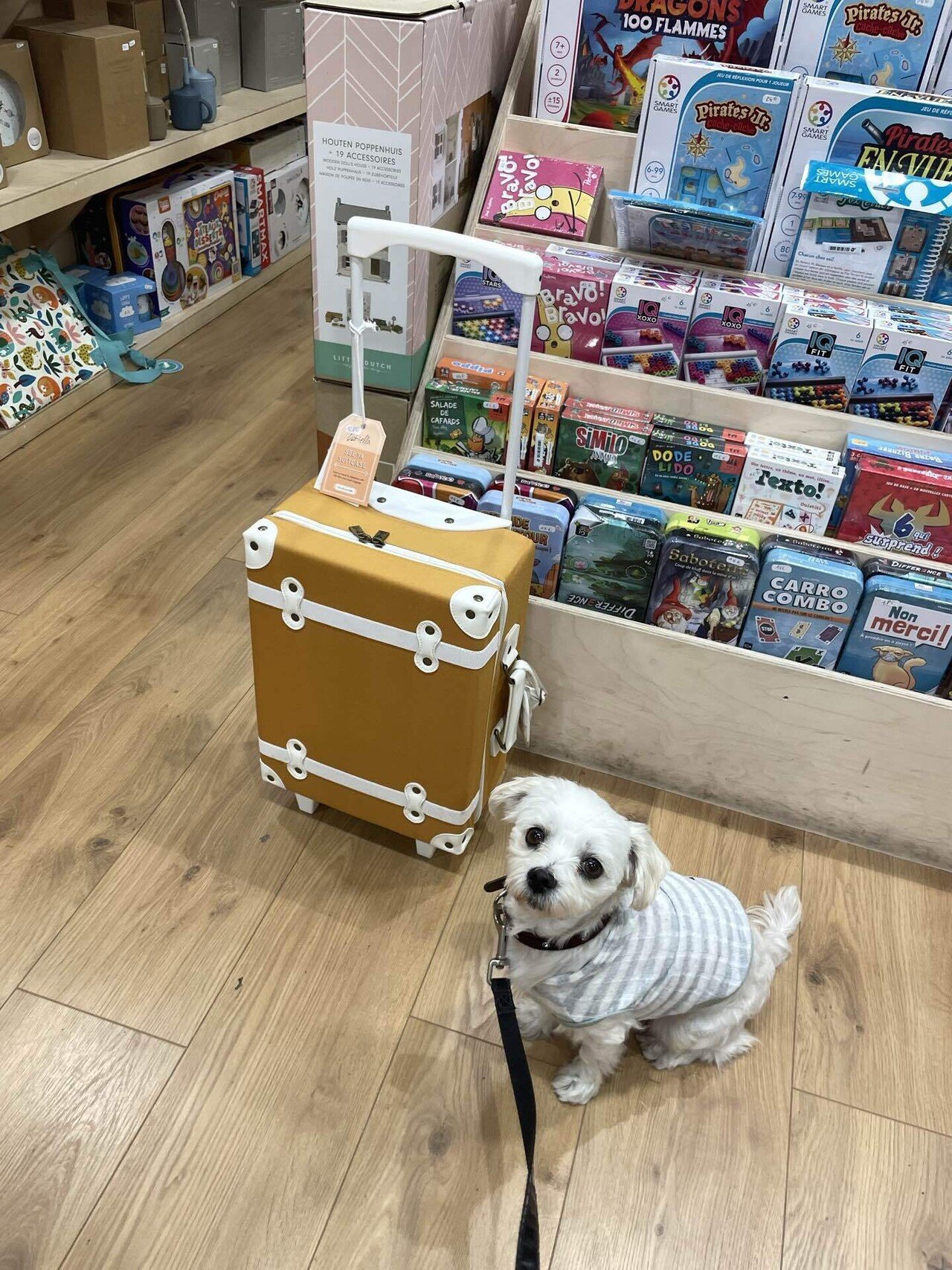 極太なマカロニ、カネロニ・ボロネーゼ｜ユイじょり