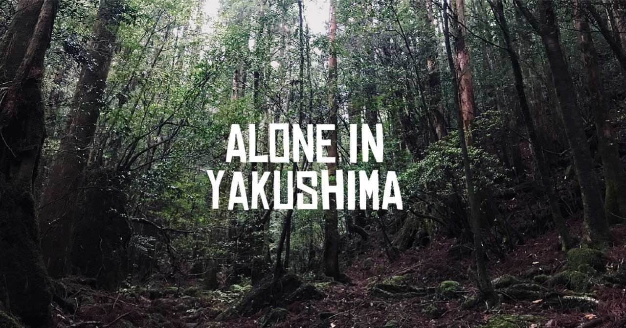 自分探し ひとりで屋久島に行ってきた その1 Rou Kodama Note