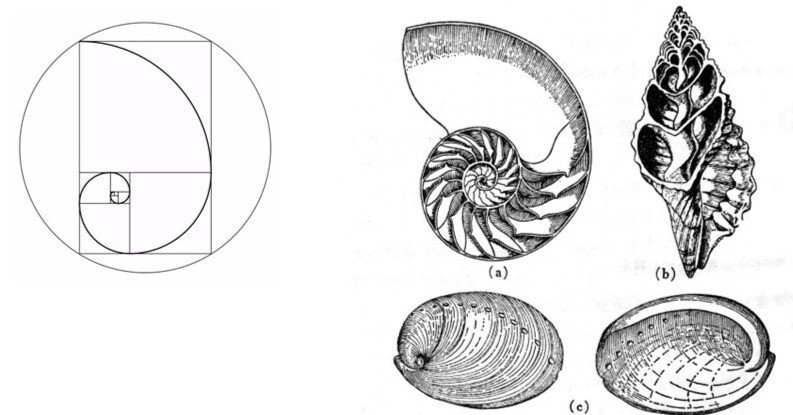 e944552a17d4ccd23908a9e273b7d5