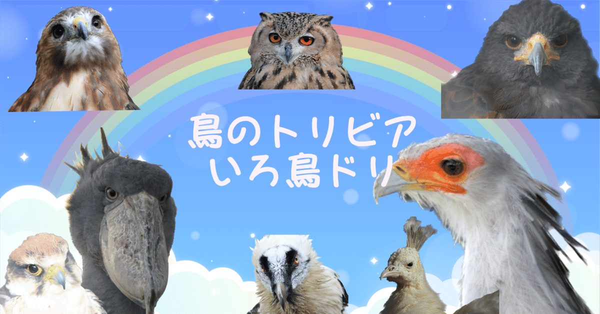 3点おまとめ・ふくろう、亀、鳥 3点おまとめ・ふくろう、亀、鳥