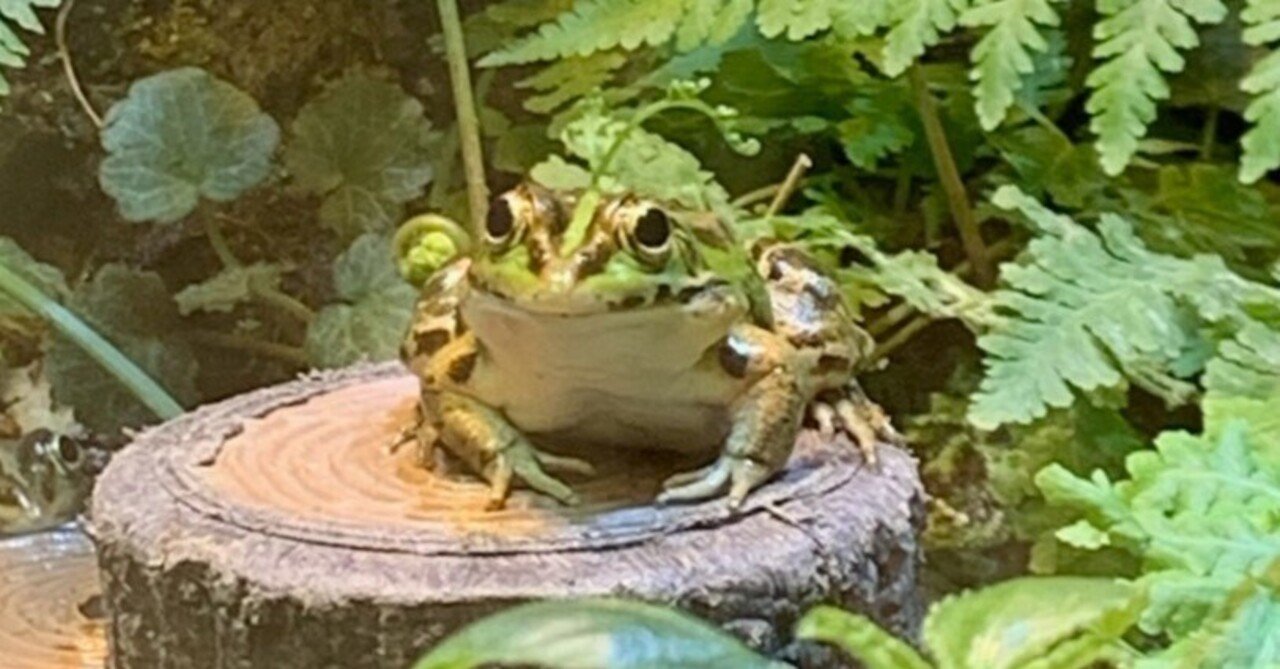 犯罪行為に先立って共謀する