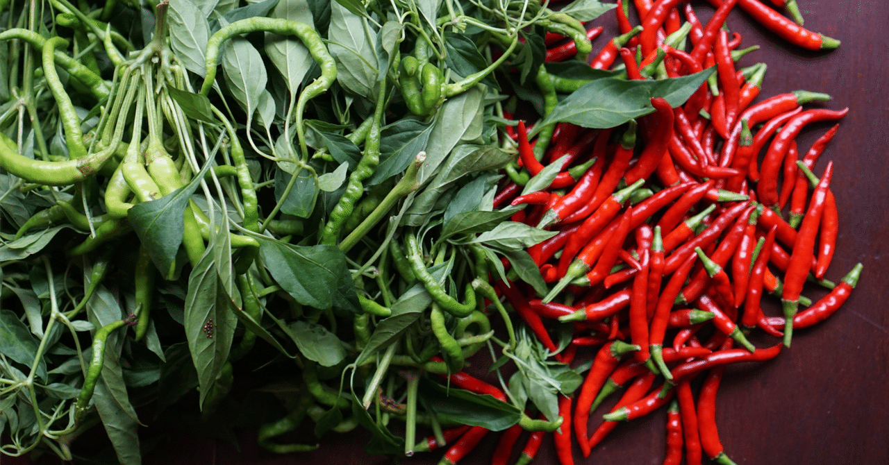 ポピーシードオイルの利点