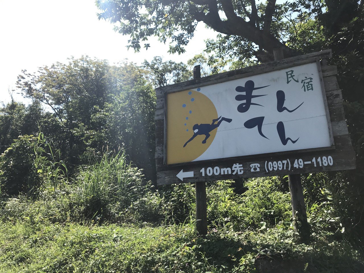 【サボ　愛称板】（表）屋久島 指定席（裏）屋久島 YAKUSHIMA させぼ 指定席×屋久島 指定席 愛称板(行先板、サボ)｜売買された