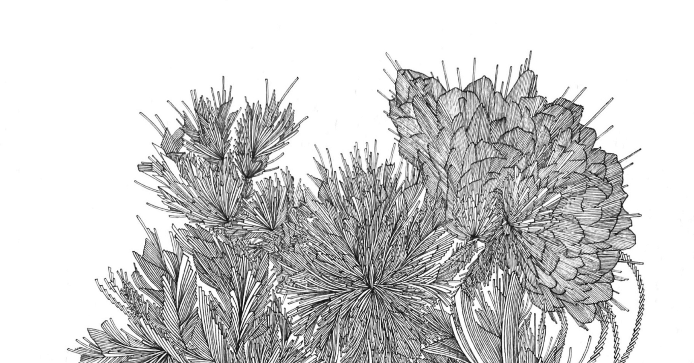 信頼できる人は、敵味方問わず｜やひろ