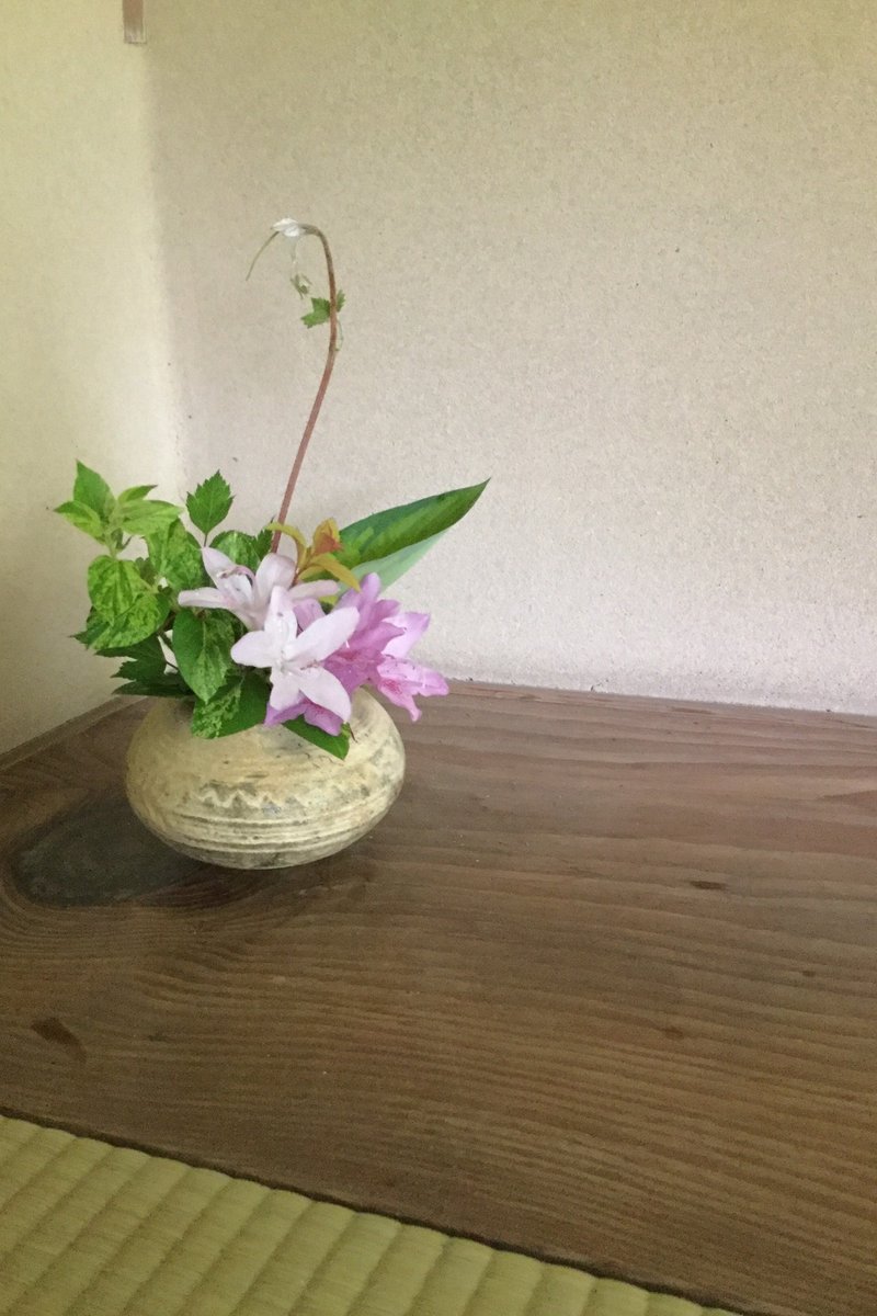 なな艸花仕事 4 茶会での植物監修 離れの床の間飾り編 なな艸 Note