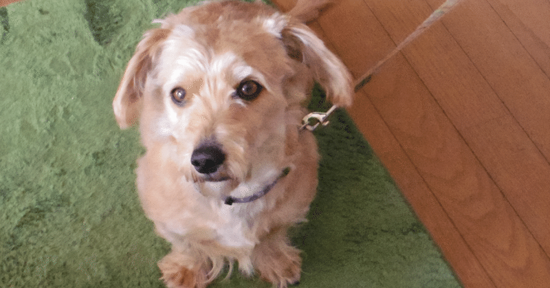 案外ボったくりなワケ Hiru2ada4man Note