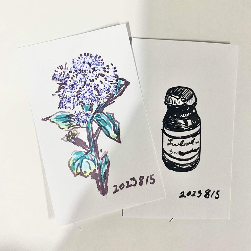 花瓶に刺していた紫の花とインクのドローイング