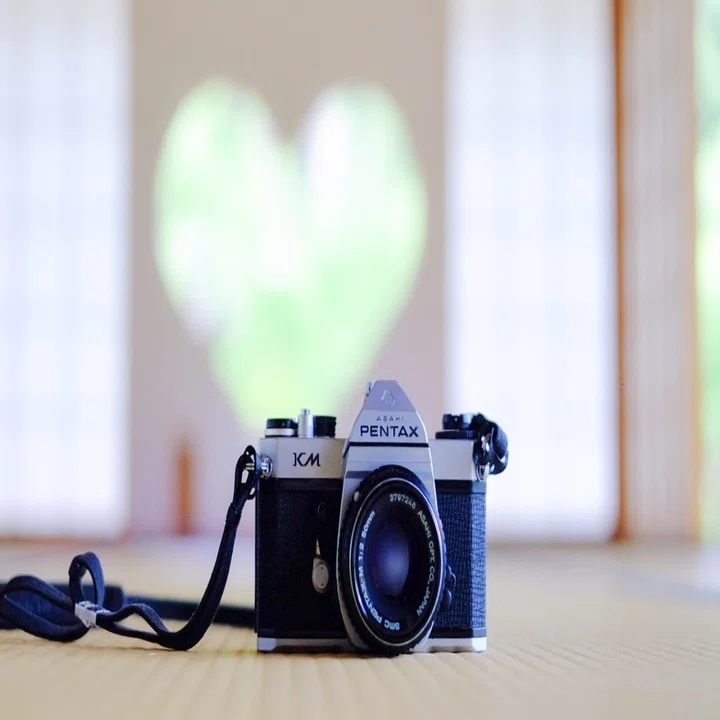 フィルムカメラの魅力。｜coco
