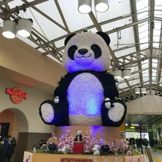 あふろざむらい