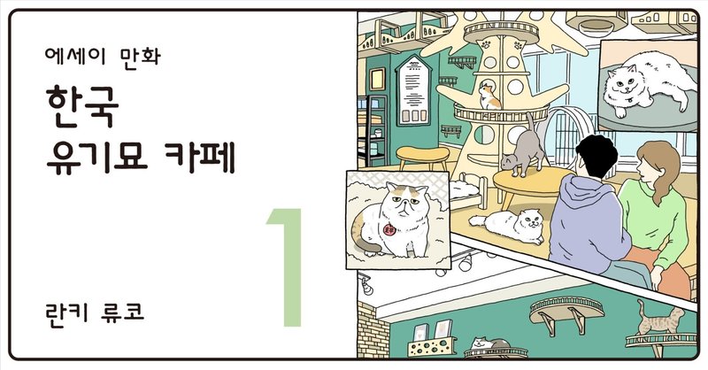 한국 유기묘 카페 vol.1