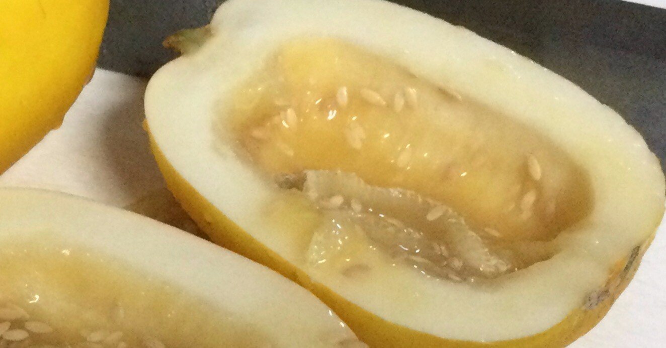 芳しきマクワウリ「黄金まくわ」｜コードトーカー