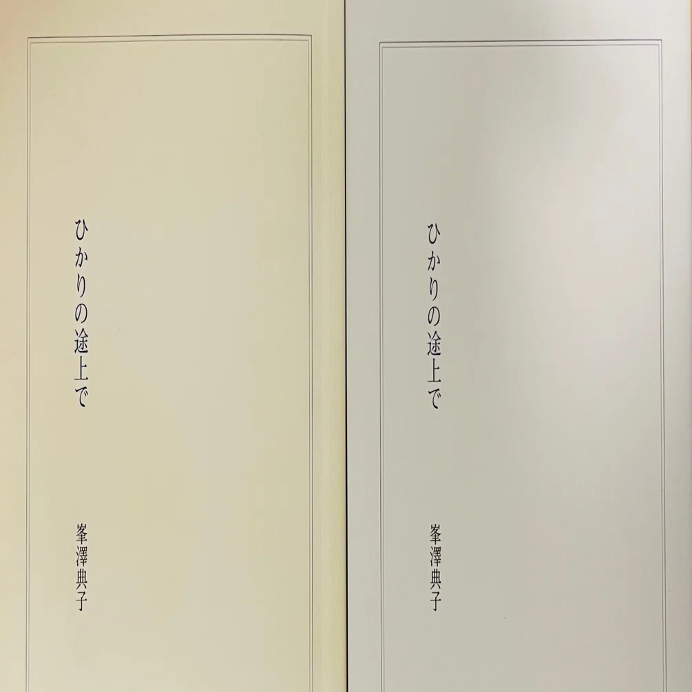第一詩集から第二詩集『ひかりの途上で』までのこと｜峯澤典子 Noriko