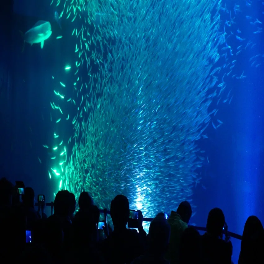 カメラ練習記 1 名古屋港水族館 Nemui Note