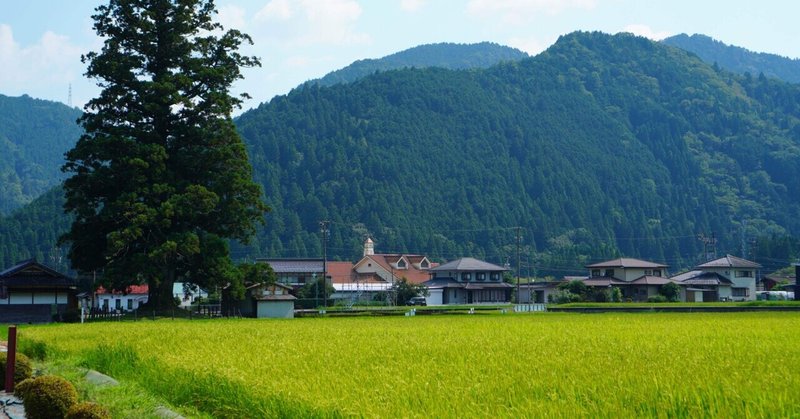 郡上市和良には何がある