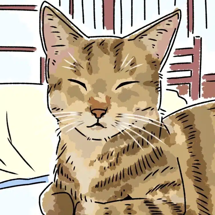 寝子