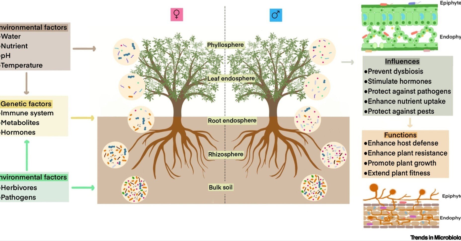 植物生態学論考 世界の森の豊かさを生物多様性ビッグデータで見える化！ 暗号理論とAI