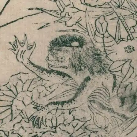 川太郎