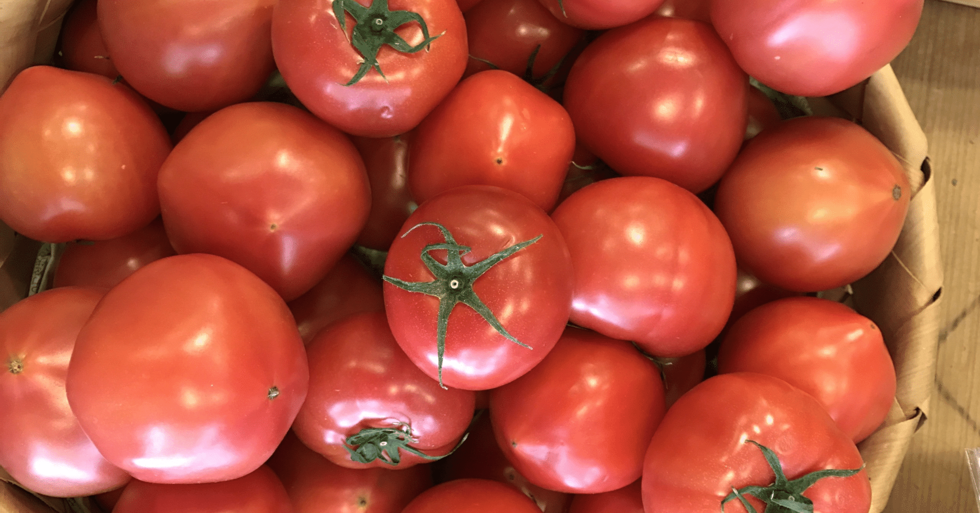 レガシー「8-cast」メインボード解説 ONE環境｜kazuki ooyama