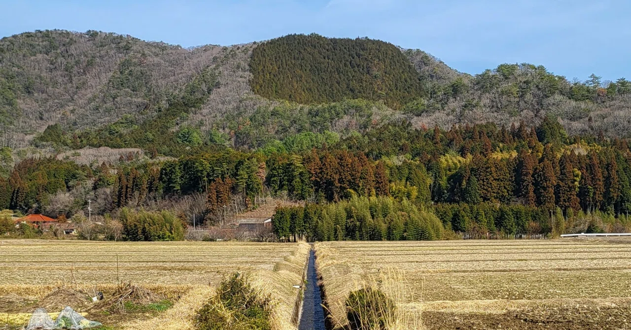 紫がたり 令和源氏物語 第四百十五話 夕霧(十八)|YUKARI