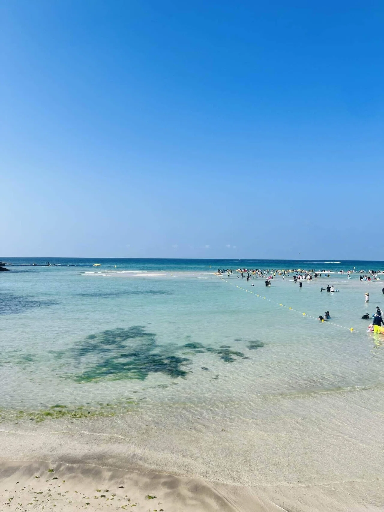 韓国のハワイ、チェジュ島へ｜あこ