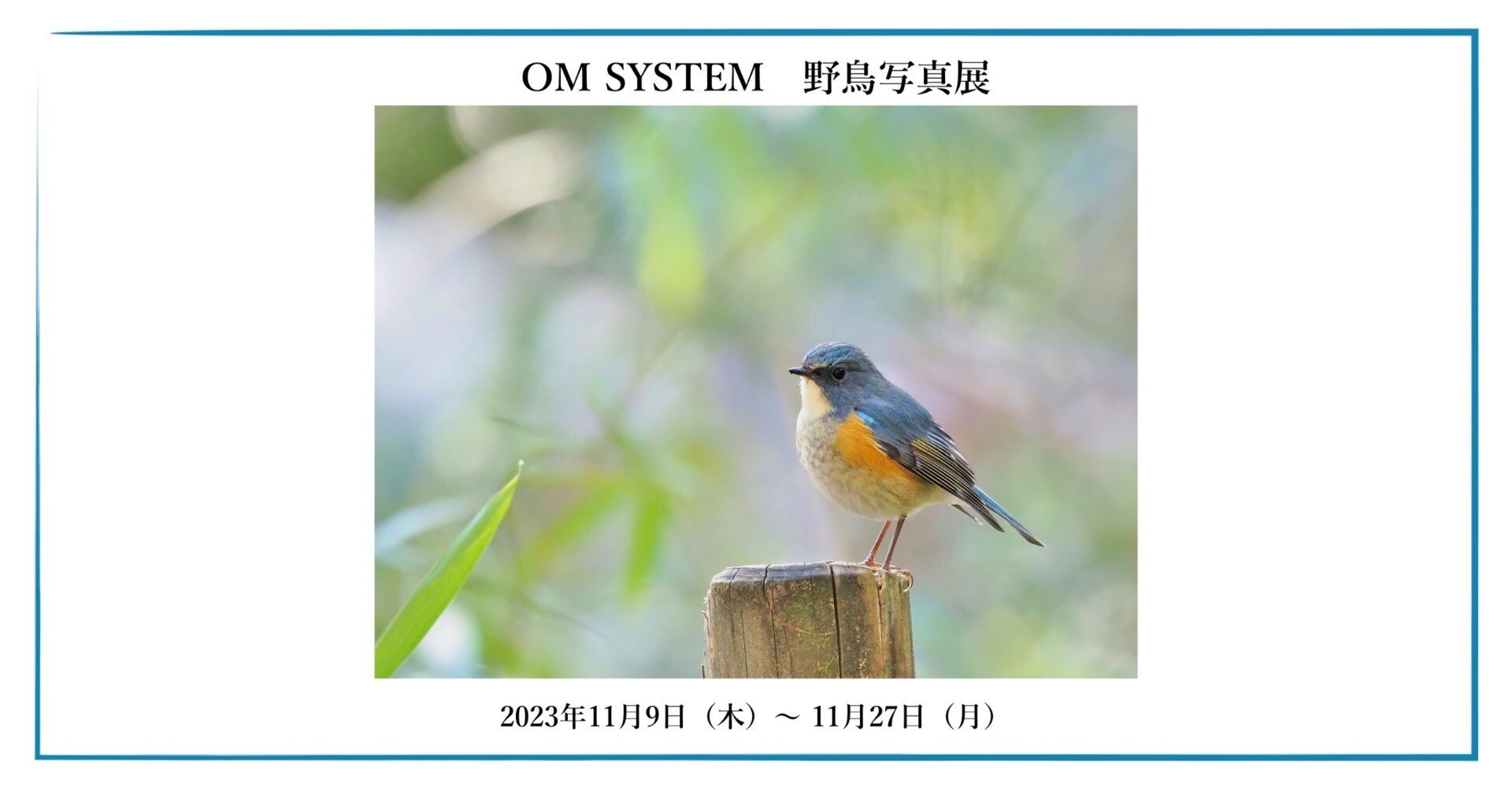 650a973d93a5e377e38cfde3378caa