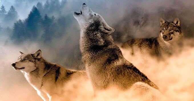 e06ff8622949356cf59760d16e0adb