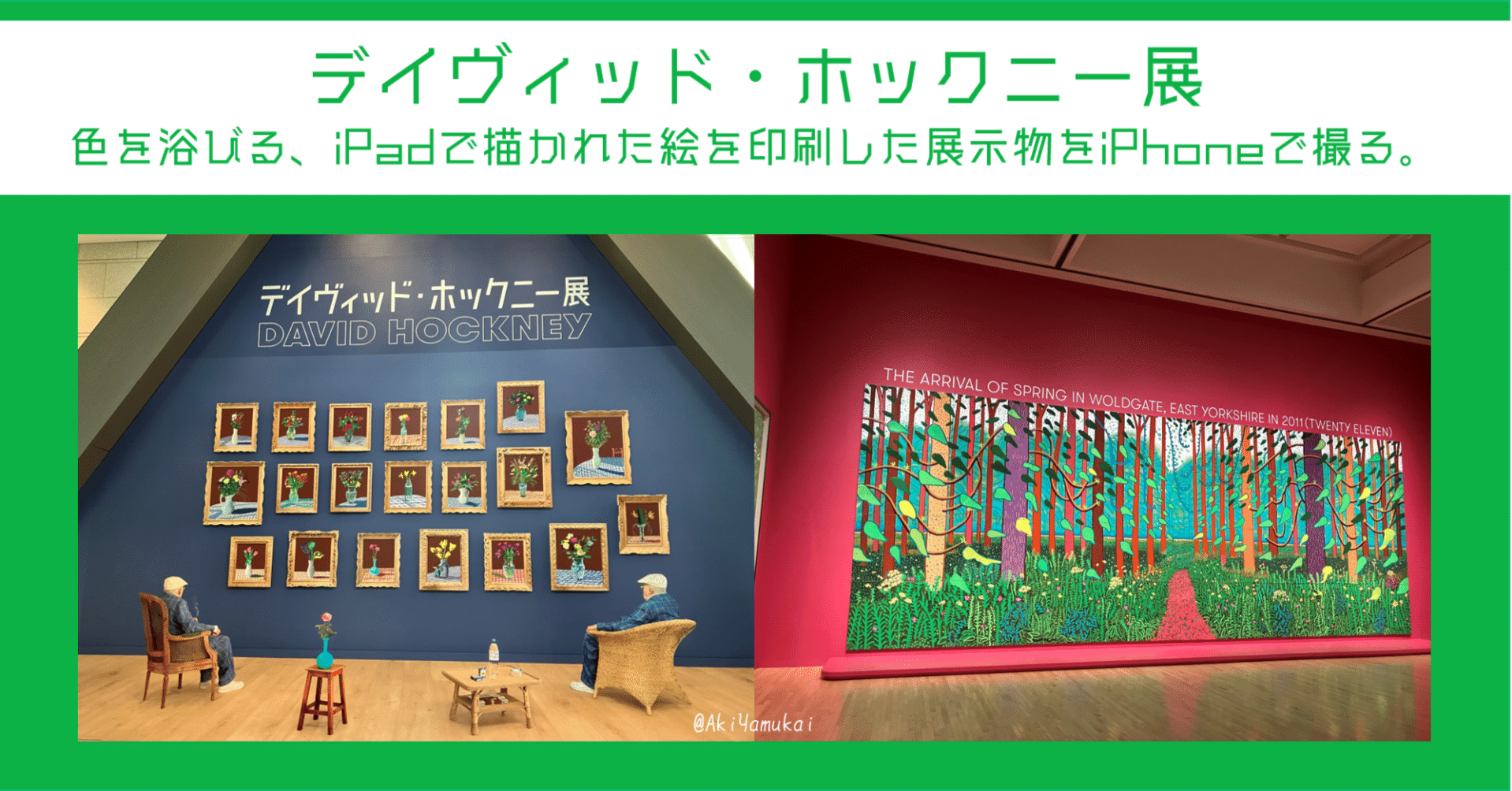 特別額装品/Me Draw on Ipad/デビット ホックニー デイヴィッド