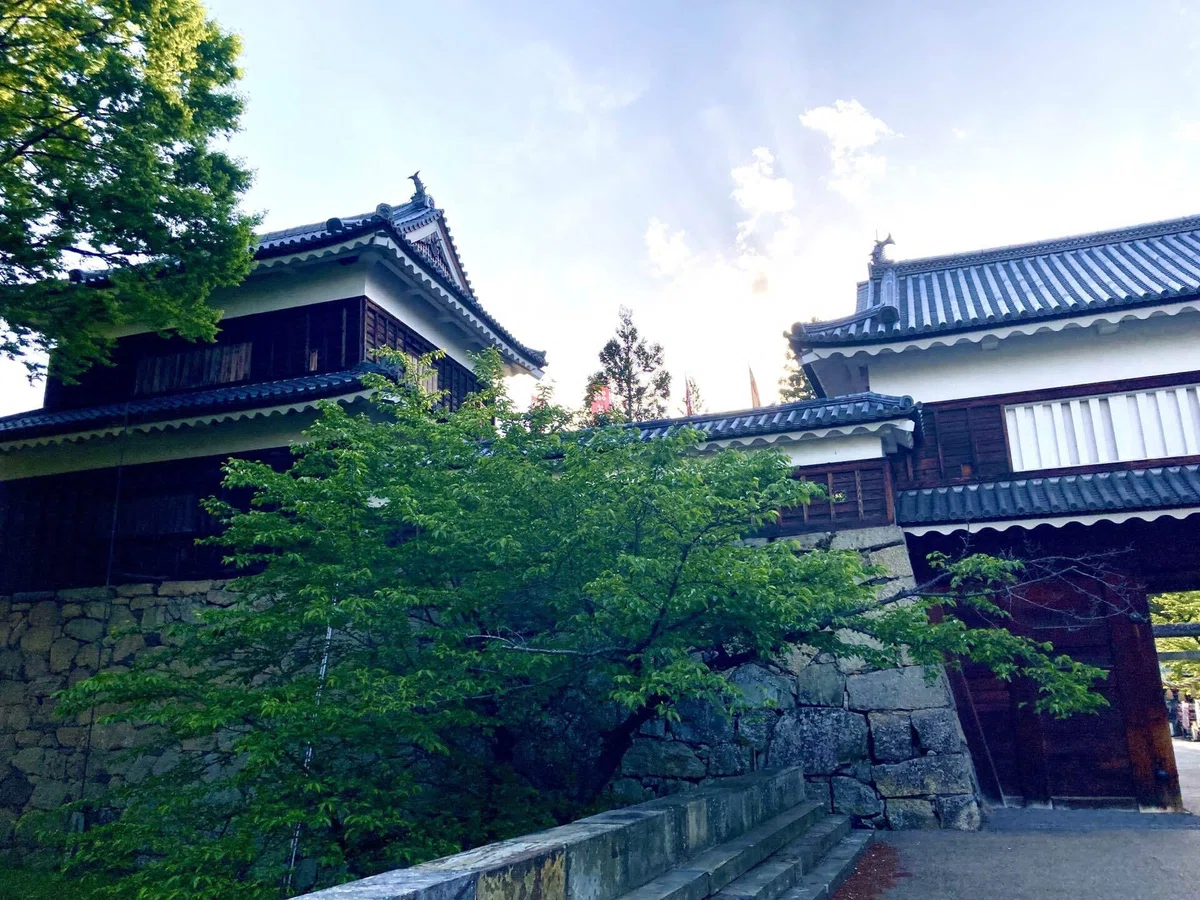 画像