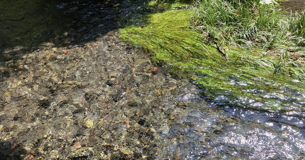 青春18きっぷの旅 東京から日帰りで静岡へ（三島・沼津・富士宮