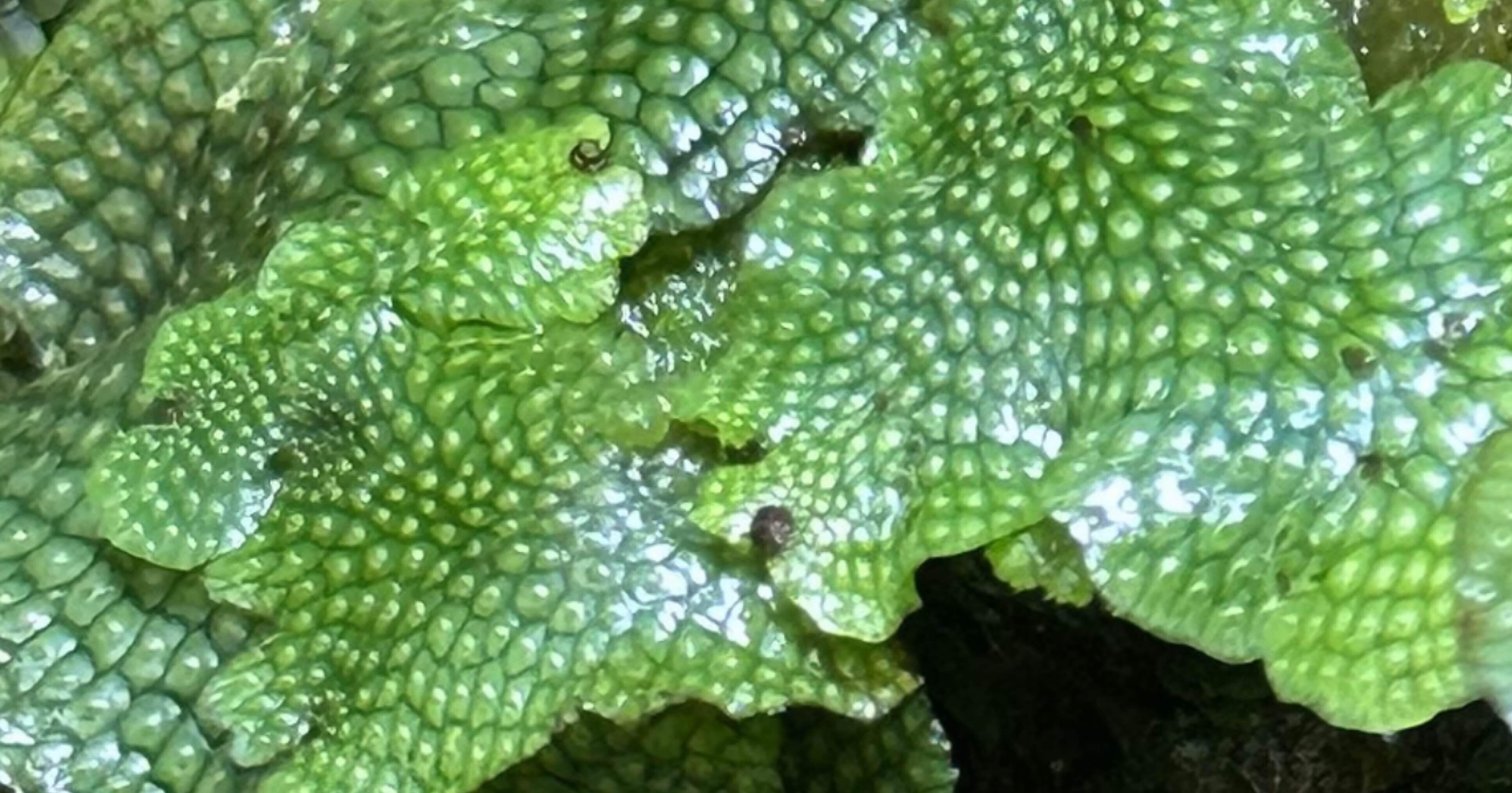 acaf43ecb30e9e180bbd9cfd889cae