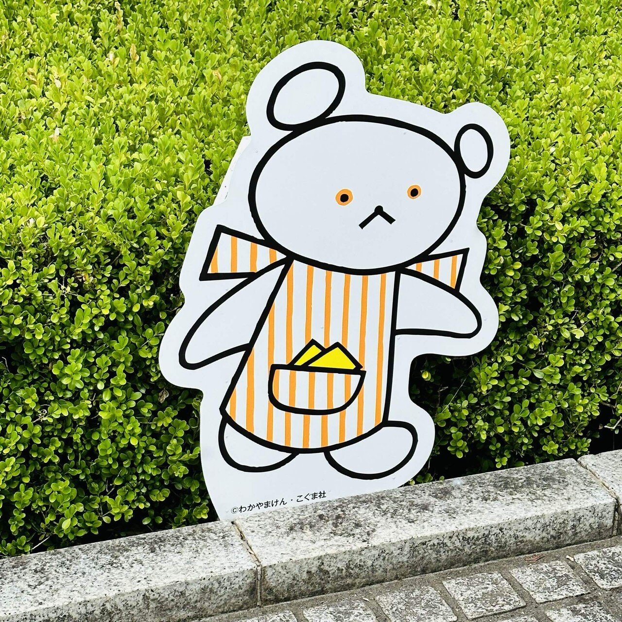 こぐまちゃんとしろくまちゃん」-わかやまけんさんの偉大さ-｜Maki Rindoh