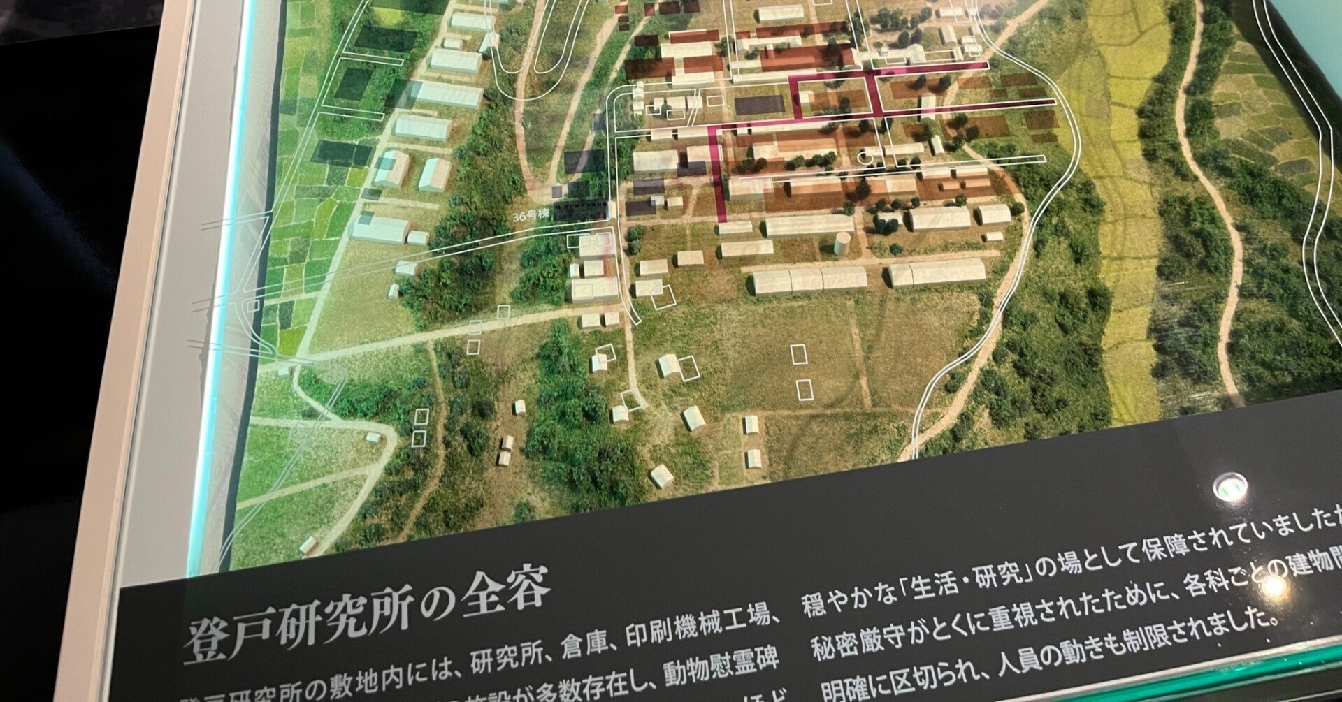 陸軍登戸研究所 隠蔽された謀略秘密兵器開発 (明治大学人文科学