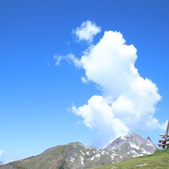 雨のち晴れ晴れ - ハーバード留学記 -