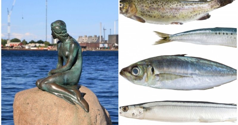 ２２９．秋刀魚の人魚はあり得るか 〜人魚のミイラとサイズ差について〜