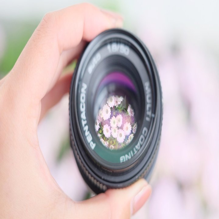 単焦点レンズ」で変わる写真の世界。｜coco