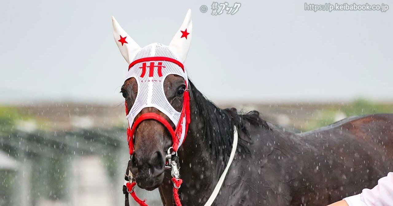小倉競馬と私-北九州記念・ヨカヨカ-|競馬ブック 小倉競馬と私-北九州記念・ヨカヨカ-|競馬ブック