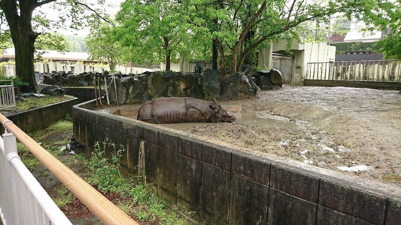 平成最後の日に東山動物園に行ってきました｜散颯