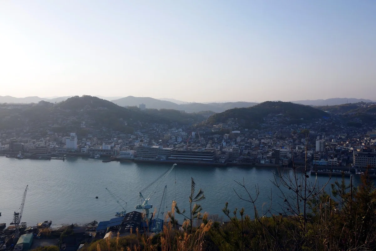 画像