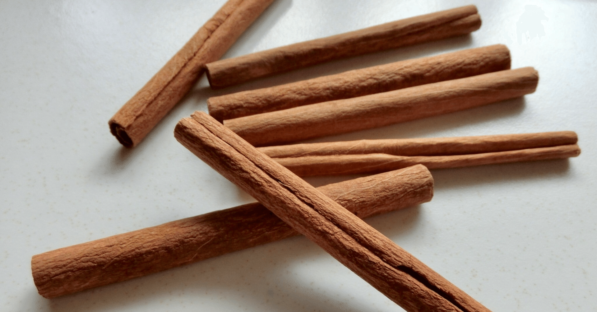 シナモンスパイス】ニッケイ、ニッキ｜堀江座さんち。I'm Sei Horie.