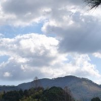 佐藤雅子さん 橘川幸夫 Note