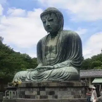 苦里葉
