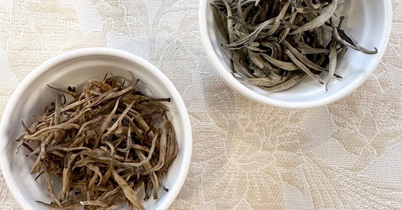 シルバーチップとゴールデンチップ｜little tea's紅茶教室勝又由里子